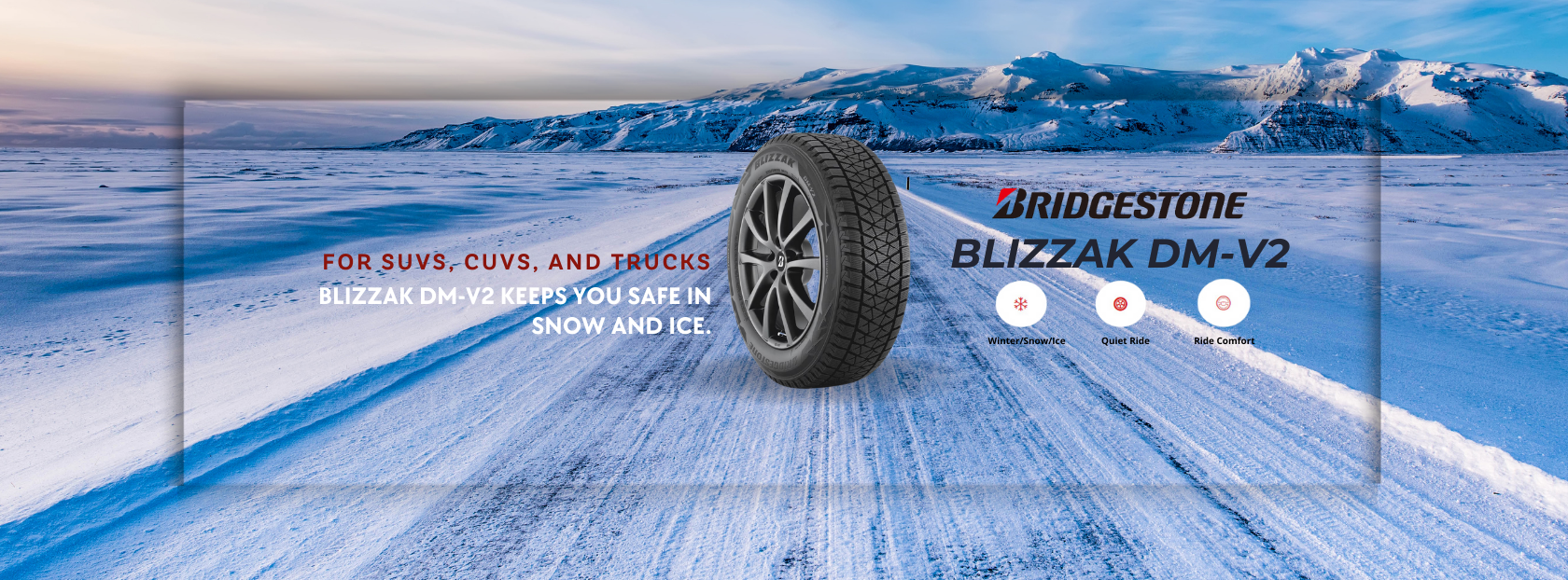 https://www.canadawheels.ca/bridgestone-tires/blizzak-dm-v2